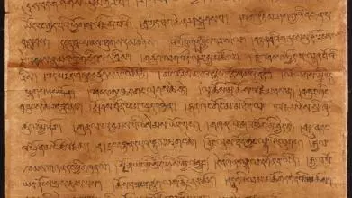 ioltibj370